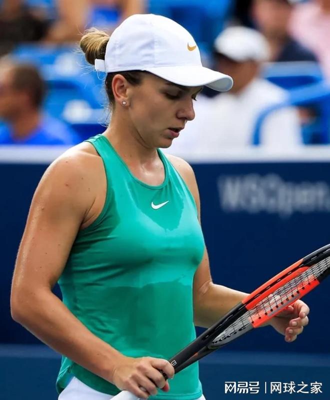 般蓬勃发展 般蓬勃发展